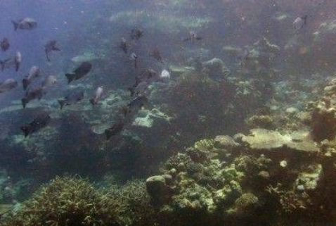 除了無人駕駛，激光雷達(dá)還應(yīng)用在哪些領(lǐng)域？