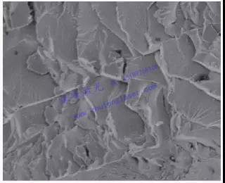 微信圖片_20181016104035.jpg 微信圖片_20181016104035.jpg