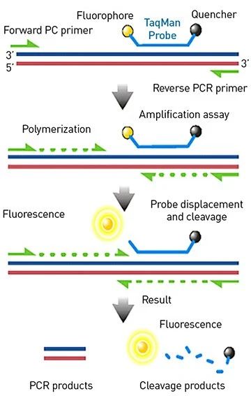 1587290684131762.jpg 微信圖片_20200419180302.jpg