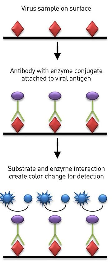 1587290714589293.jpg 微信圖片_20200419180316.jpg